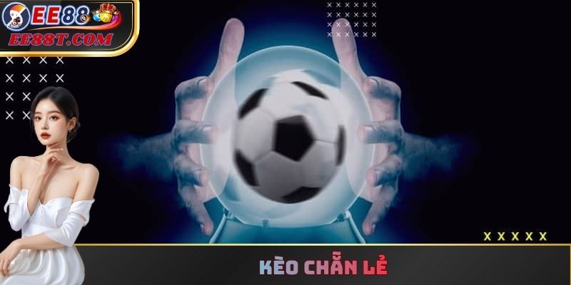 Giải Mã Cách Đọc Và Chiến Thuật Bắt Cầu Chuẩn